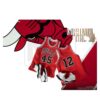 Enterbay 1/6 Real Masterpiece NBA - Michael Jordan (I'm Back #45)