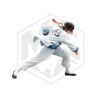 KOTOBUKIYA: ARTFX J Sanosuke Sagara