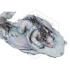 INFINITY STUDIO: Encounter Limited Edition Statue