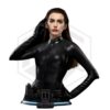 Infinity Studio: Catwoman (Selina Kyle) Life-Size Bust Infinity Studio: Catwoman (Selina Kyle) Life-Size Bust