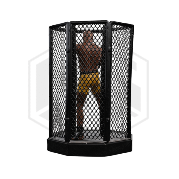 Iron Studios: Anderson "Spider" Silva Signed Version Art Scale 1/10